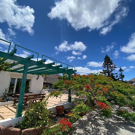 Villa Vegueta Dış mekan fotoğraf